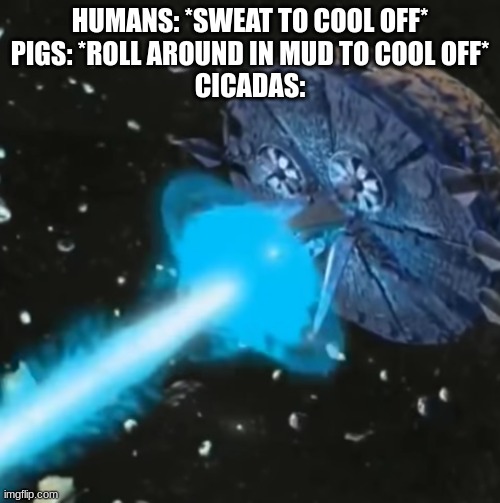 if you know where the image is from, you know where the image is from | HUMANS: *SWEAT TO COOL OFF*
PIGS: *ROLL AROUND IN MUD TO COOL OFF*
CICADAS: | made w/ Imgflip meme maker