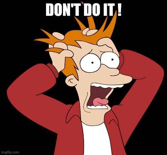 Futurama Fry Screaming | DON'T DO IT ! | image tagged in futurama fry screaming | made w/ Imgflip meme maker