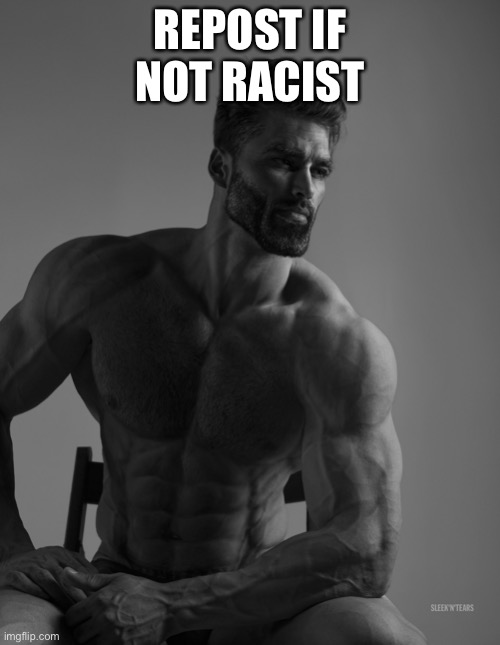 Giga Chad | REPOST IF NOT RACIST | image tagged in giga chad | made w/ Imgflip meme maker