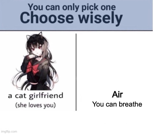Choose wisely | Air; You can breathe | image tagged in choose wisely | made w/ Imgflip meme maker