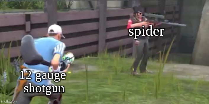Scout jumping sniper | spider; 12 gauge
 shotgun | image tagged in scout jumping sniper | made w/ Imgflip meme maker