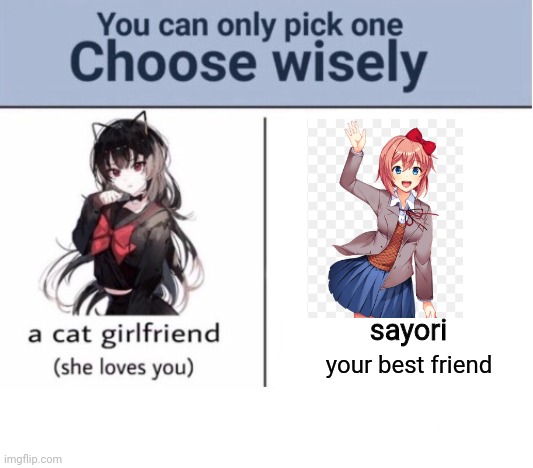 Choose wisely | sayori; your best friend | image tagged in choose wisely | made w/ Imgflip meme maker