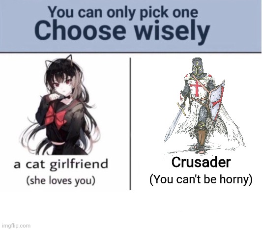Choose wisely | Crusader; (You can't be horny) | image tagged in choose wisely | made w/ Imgflip meme maker