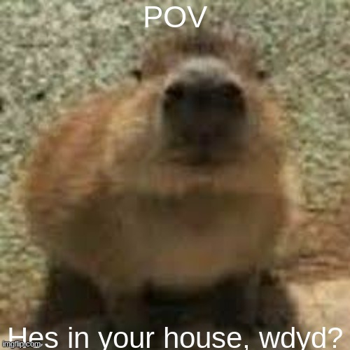 any rp goes | POV; Hes in your house, wdyd? | image tagged in gort,rp,oc | made w/ Imgflip meme maker