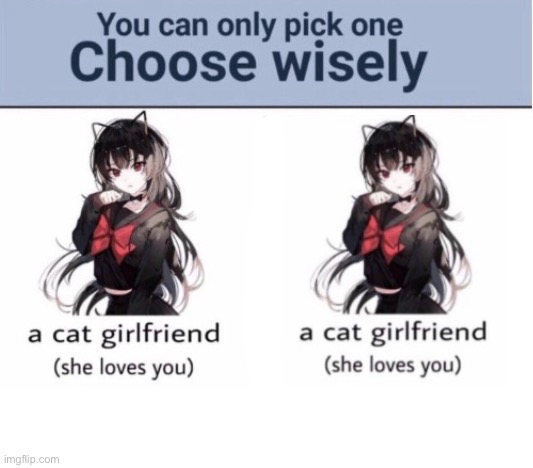 There is no other option | image tagged in choose wisely | made w/ Imgflip meme maker