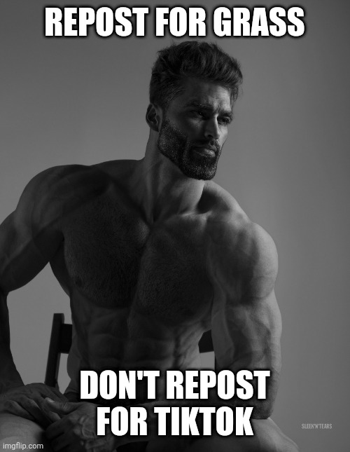 Giga Chad | REPOST FOR GRASS; DON'T REPOST FOR TIKTOK | image tagged in giga chad | made w/ Imgflip meme maker