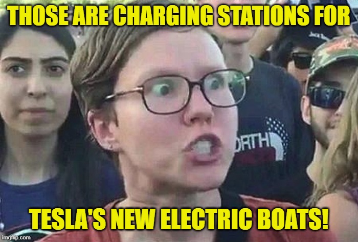 Triggered Liberal | THOSE ARE CHARGING STATIONS FOR TESLA'S NEW ELECTRIC BOATS! | image tagged in triggered liberal | made w/ Imgflip meme maker