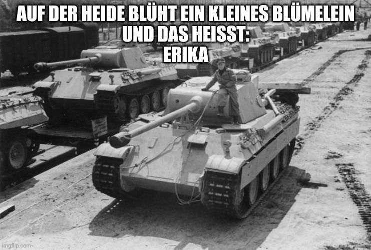 Panther Tank | AUF DER HEIDE BLÜHT EIN KLEINES BLÜMELEIN
UND DAS HEISST:
ERIKA | image tagged in panther tank | made w/ Imgflip meme maker