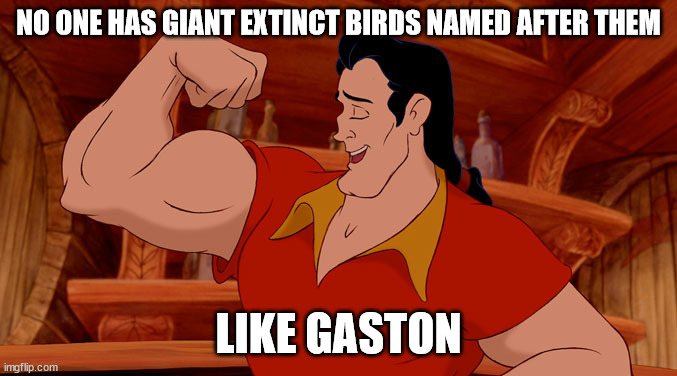 Gastornis = "Gaston's bird" | NO ONE HAS GIANT EXTINCT BIRDS NAMED AFTER THEM; LIKE GASTON | image tagged in gaston | made w/ Imgflip meme maker