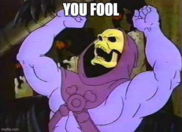 YOU FOOL | image tagged in you fool skeletor | made w/ Imgflip meme maker