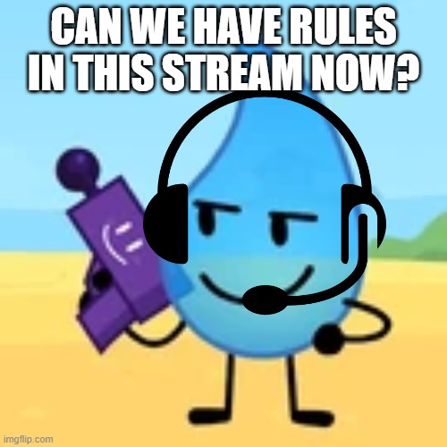 teardrop gaming | CAN WE HAVE RULES IN THIS STREAM NOW? | image tagged in teardrop gaming | made w/ Imgflip meme maker