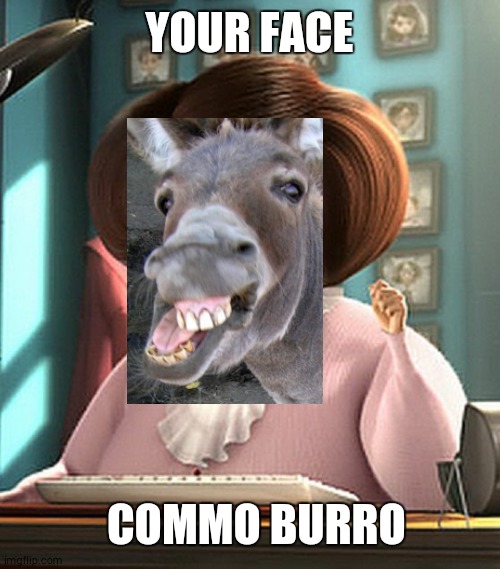 Search on the internet 'what did gru say in spanish' | YOUR FACE; COMMO BURRO | image tagged in despicable me | made w/ Imgflip meme maker