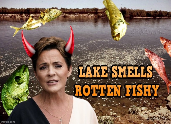 image tagged in lake,arizona,kari lake,qanon cult,clown car republicans,fish | made w/ Imgflip meme maker