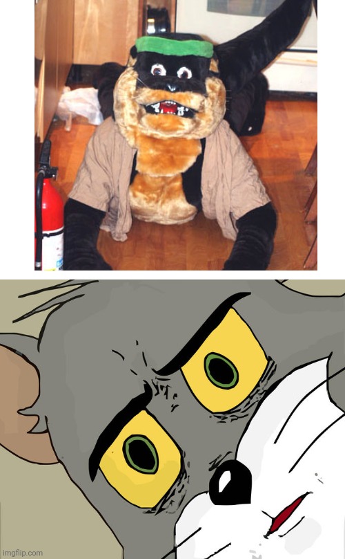 Not furry hate! But seriously tho | image tagged in memes,unsettled tom | made w/ Imgflip meme maker