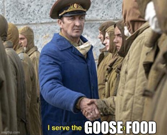 I serve the Soviet Union | GOOSE FOOD | image tagged in i serve the soviet union | made w/ Imgflip meme maker