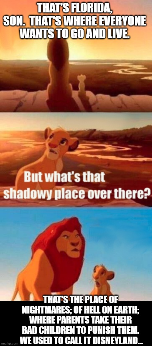 No Fun Anymore... | THAT'S FLORIDA, SON.  THAT'S WHERE EVERYONE WANTS TO GO AND LIVE. THAT'S THE PLACE OF NIGHTMARES; OF HELL ON EARTH; WHERE PARENTS TAKE THEIR BAD CHILDREN TO PUNISH THEM.  WE USED TO CALL IT DISNEYLAND... | image tagged in memes,simba shadowy place,florida,disney,so true memes,true dat | made w/ Imgflip meme maker