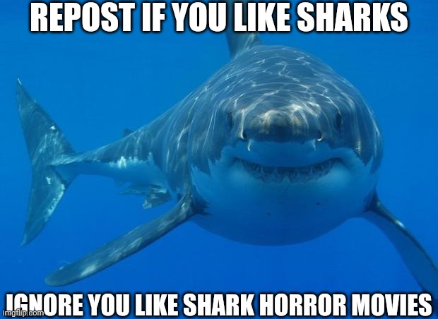Save them sharks | REPOST IF YOU LIKE SHARKS; IGNORE YOU LIKE SHARK HORROR MOVIES | image tagged in straight white shark,shark | made w/ Imgflip meme maker