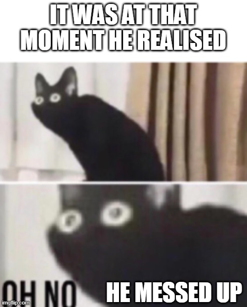 Oh no cat | IT WAS AT THAT MOMENT HE REALISED HE MESSED UP | image tagged in oh no cat | made w/ Imgflip meme maker