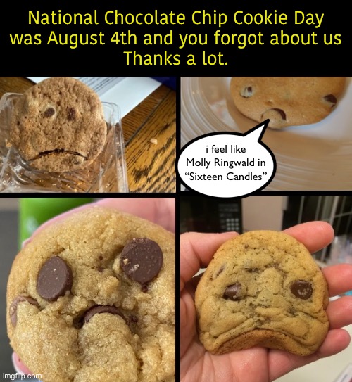 We’re Not Sad… Just Disappointed | National Chocolate Chip Cookie Day
was August 4th and you forgot about us
Thanks a lot. i feel like Molly Ringwald in “Sixteen Candles” | image tagged in funny memes,national chocolate chip cookie day,cookies | made w/ Imgflip meme maker