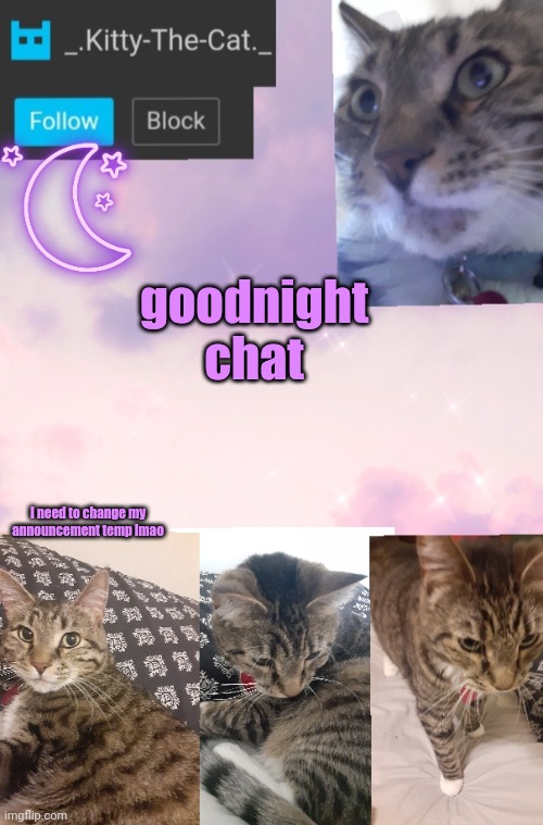 Kitty's Announcement Template | goodnight chat; I need to change my announcement temp lmao | image tagged in kitty's announcement template | made w/ Imgflip meme maker