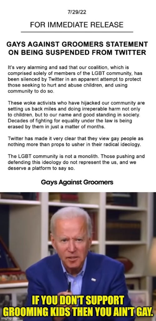 Gays Against Groomers | IF YOU DON'T SUPPORT GROOMING KIDS THEN YOU AIN'T GAY. | image tagged in biden you ain't black,joe biden,gays,groom | made w/ Imgflip meme maker