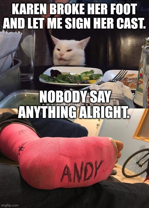 KAREN BROKE HER FOOT AND LET ME SIGN HER CAST. NOBODY SAY ANYTHING ALRIGHT. | image tagged in smudge the cat | made w/ Imgflip meme maker