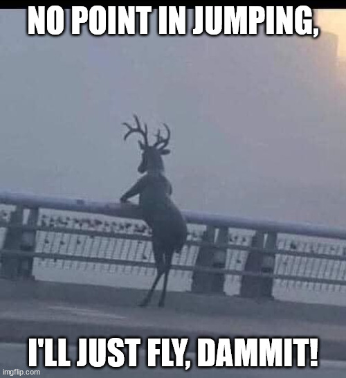 reindeer suicide? |  NO POINT IN JUMPING, I'LL JUST FLY, DAMMIT! | image tagged in deer,reindeer,suicide | made w/ Imgflip meme maker