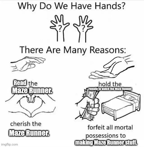 The life of a Maze Runner fan. | image tagged in why do we have hands all blank,funny memes,maze runner | made w/ Imgflip meme maker