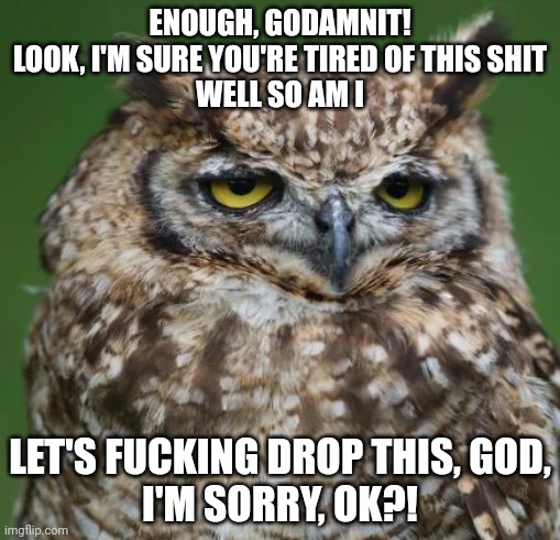 Enough of Your Shit Owl | ENOUGH, GODAMNIT!
LOOK, I'M SURE YOU'RE TIRED OF THIS SHIT
WELL SO AM I; LET'S FUCKING DROP THIS, GOD,
I'M SORRY, OK?! | image tagged in enough of your shit owl | made w/ Imgflip meme maker