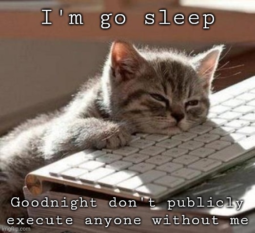 tired cat | I'm go sleep; Goodnight don't publicly execute anyone without me | image tagged in tired cat | made w/ Imgflip meme maker