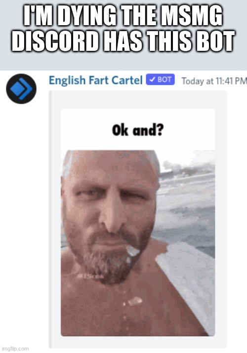 I'M DYING THE MSMG DISCORD HAS THIS BOT | made w/ Imgflip meme maker