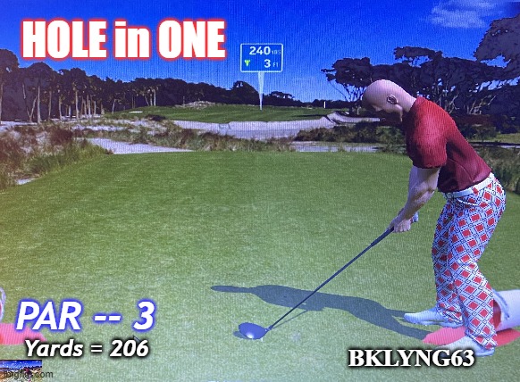 HOLE in ONE; PAR -- 3; BKLYNG63; Yards = 206 | made w/ Imgflip meme maker