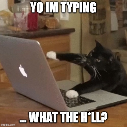 cat | YO IM TYPING; … WHAT THE H*LL? | image tagged in cat | made w/ Imgflip meme maker