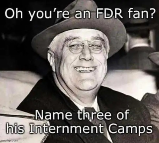 FDR and internment camps | image tagged in fdr,japanese,political memes | made w/ Imgflip meme maker
