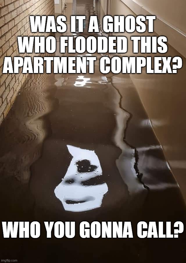 Mother Bout to Complain | WAS IT A GHOST WHO FLOODED THIS APARTMENT COMPLEX? WHO YOU GONNA CALL? | image tagged in meme,memes,humor | made w/ Imgflip meme maker