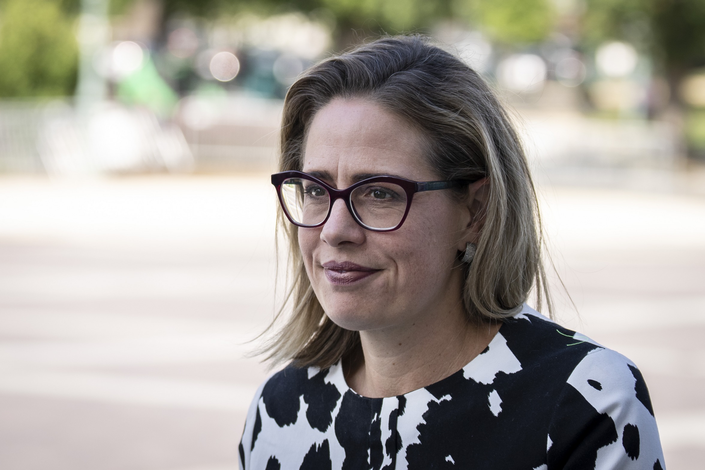 Senator Kyrsten Sinema Blank Meme Template