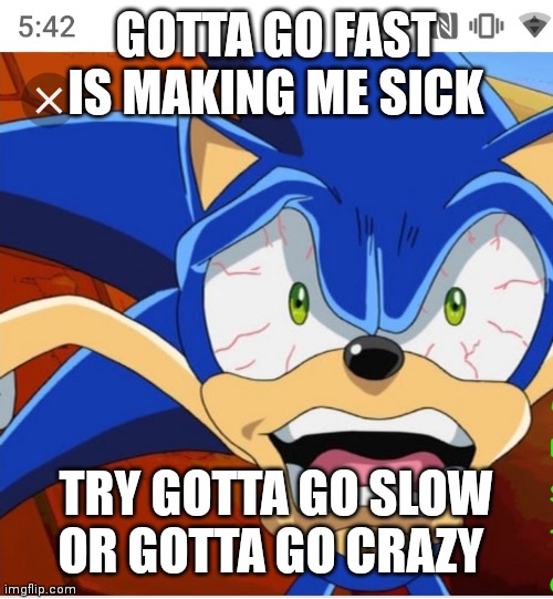 Crazy Sonic | GOTTA GO FAST IS MAKING ME SICK; TRY GOTTA GO SLOW OR GOTTA GO CRAZY | image tagged in funny memes | made w/ Imgflip meme maker