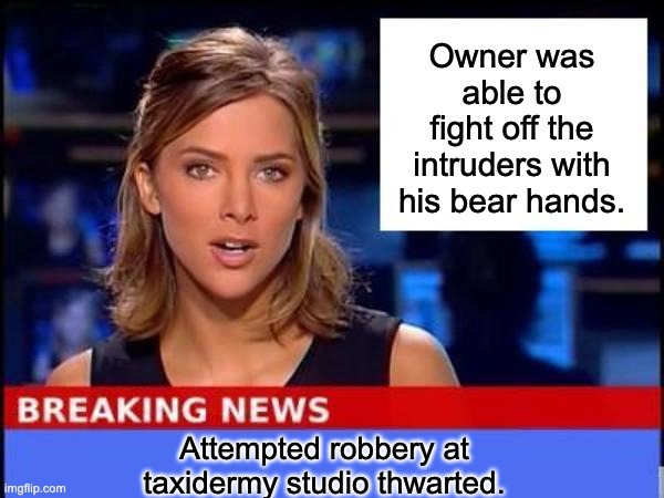 Trouble bruin | Owner was able to fight off the intruders with his bear hands. Attempted robbery at taxidermy studio thwarted. | image tagged in breaking news | made w/ Imgflip meme maker