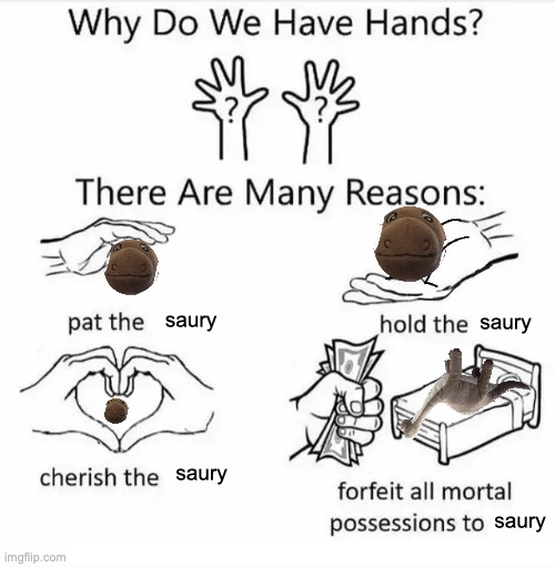 saury | saury; saury; saury; saury | image tagged in why do we have hands all blank,saury | made w/ Imgflip meme maker