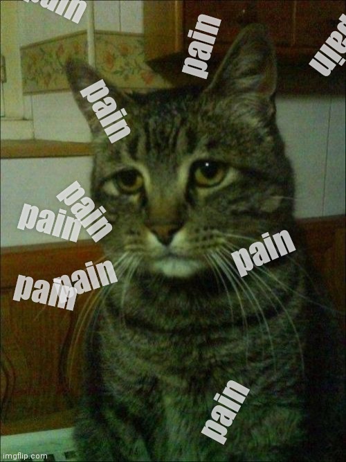 pain P a !n p.  A a. in. PIiAkn |  pain; pain; pain; pain; pain; pain; pain; pain; pain; pain | image tagged in memes,depressed cat | made w/ Imgflip meme maker