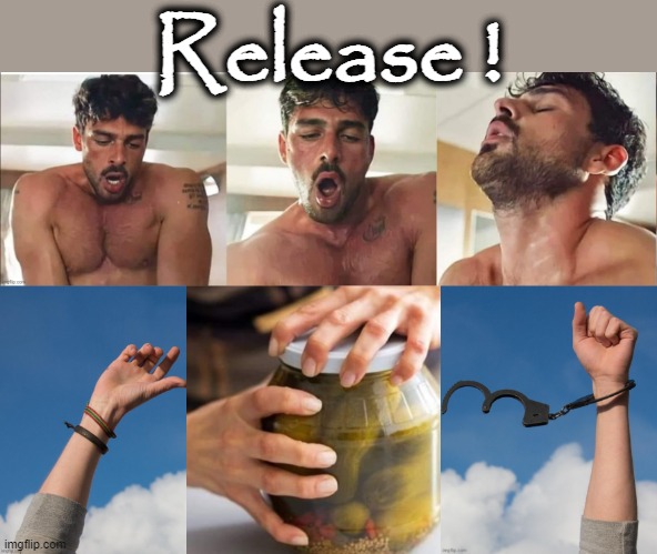 Release ! | Release ! | image tagged in my time has come | made w/ Imgflip meme maker