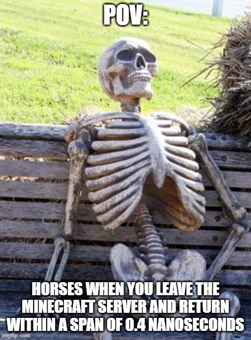:/ | POV:; HORSES WHEN YOU LEAVE THE MINECRAFT SERVER AND RETURN WITHIN A SPAN OF 0.4 NANOSECONDS | image tagged in memes,waiting skeleton | made w/ Imgflip meme maker