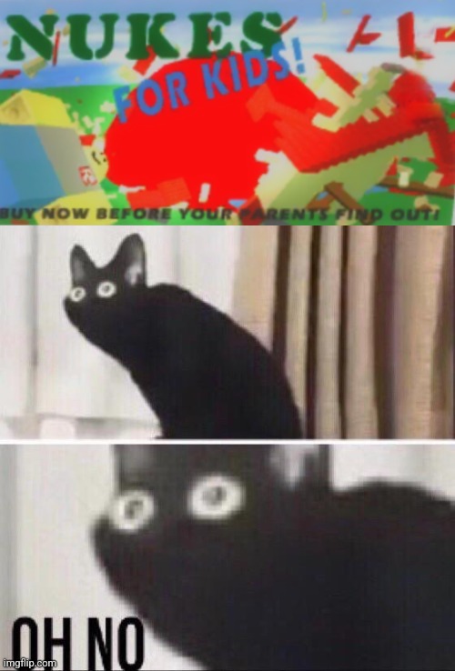 ...so I found this in roblox | image tagged in oh no cat,roblox,nukes,kids,timmy | made w/ Imgflip meme maker