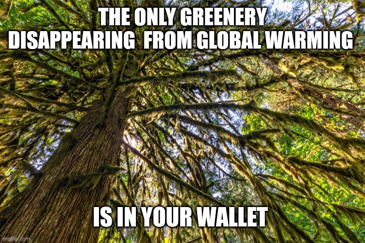THE ONLY GREENERY DISAPPEARING  FROM GLOBAL WARMING; IS IN YOUR WALLET | image tagged in funny memes | made w/ Imgflip meme maker