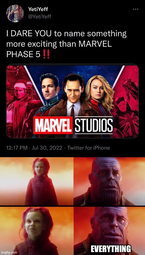 EVERYTHING | image tagged in thanos what did it cost | made w/ Imgflip meme maker