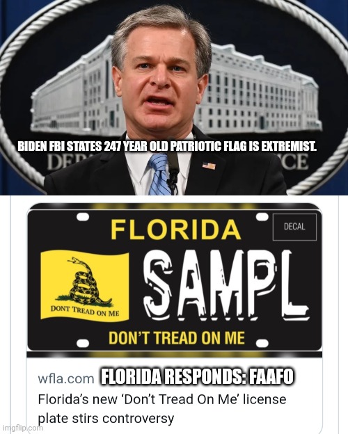 Patriots love the Gadsden Flag | BIDEN FBI STATES 247 YEAR OLD PATRIOTIC FLAG IS EXTREMIST. FLORIDA RESPONDS: FAAFO | image tagged in fbi wray,gadsden florida | made w/ Imgflip meme maker