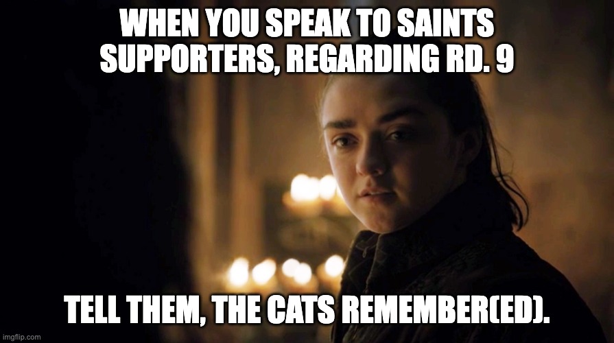 The North Remembers | WHEN YOU SPEAK TO SAINTS SUPPORTERS, REGARDING RD. 9; TELL THEM, THE CATS REMEMBER(ED). | image tagged in the north remembers | made w/ Imgflip meme maker