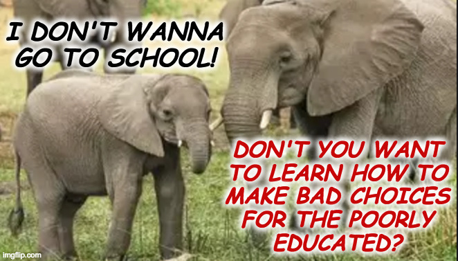Republican school. | I DON'T WANNA GO TO SCHOOL! DON'T YOU WANT
TO LEARN HOW TO
MAKE BAD CHOICES
FOR THE POORLY
EDUCATED? | image tagged in memes,republican school,elephants | made w/ Imgflip meme maker