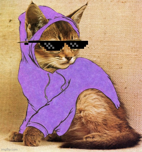 Hipster Kitty | image tagged in hipster kitty | made w/ Imgflip meme maker