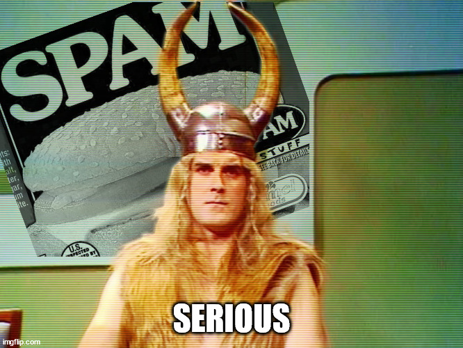 Monty Python Spam | SERIOUS | image tagged in monty python spam | made w/ Imgflip meme maker